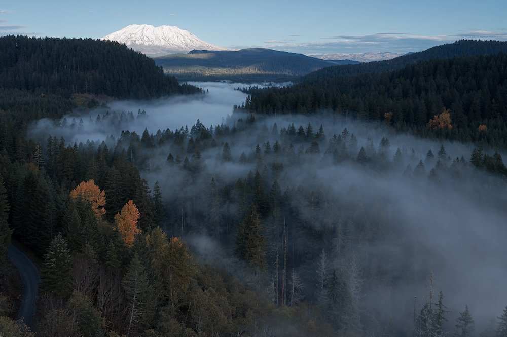 Symphony of Life.jpg