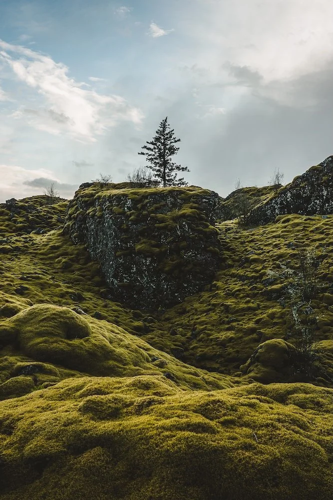 Thin Place (cropped).jpg