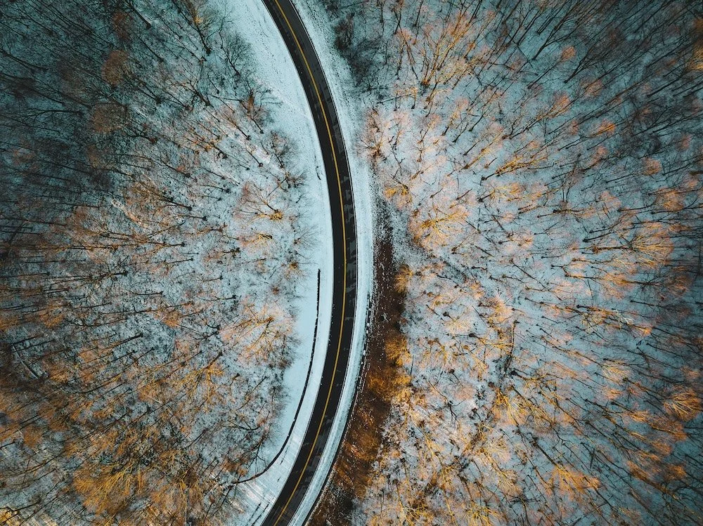 The Road to Silence.jpeg