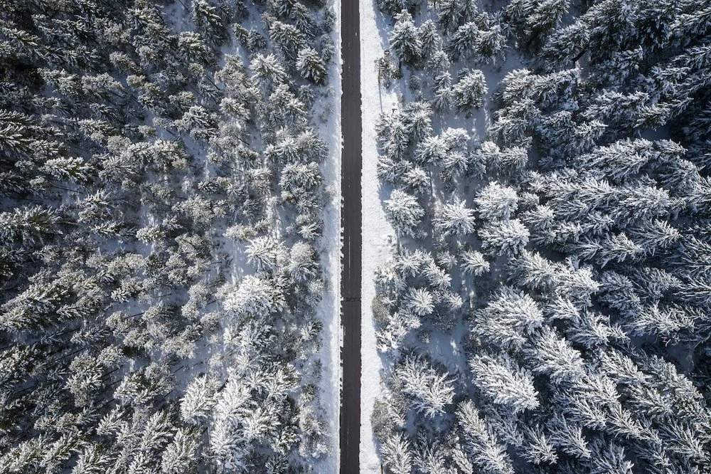 This is the Way.jpeg