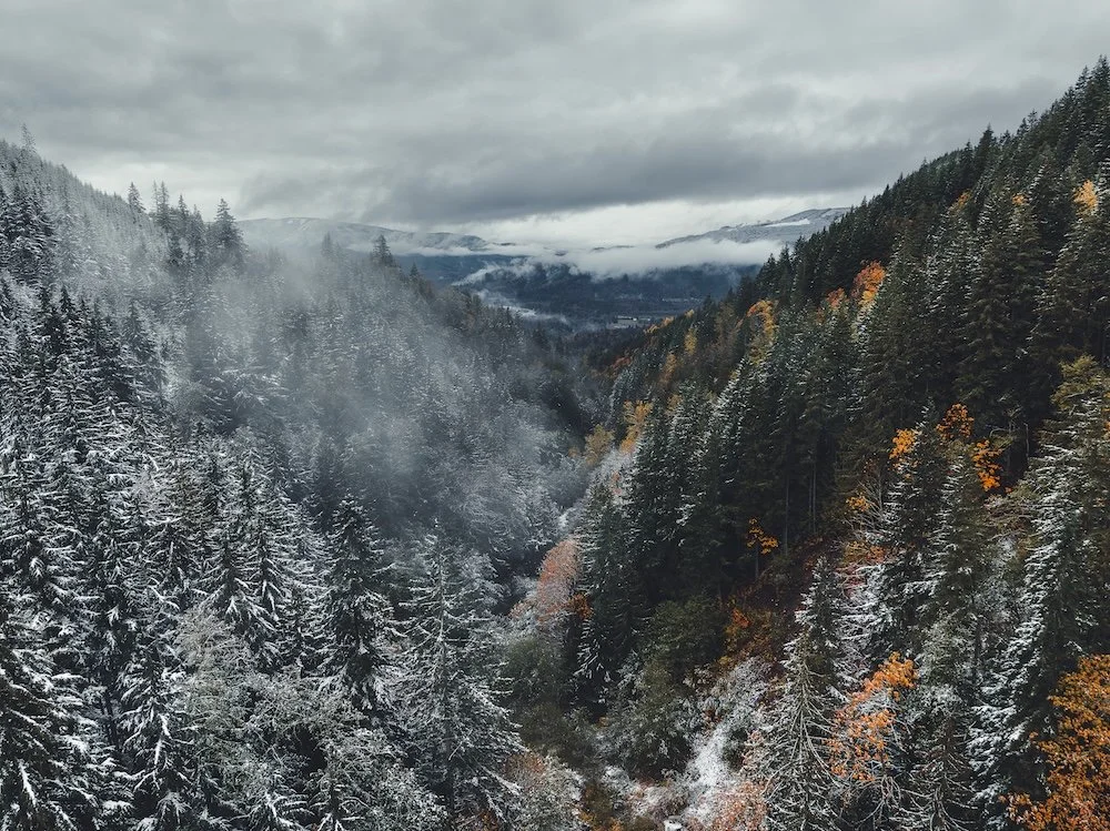 A Season of Transition.jpeg