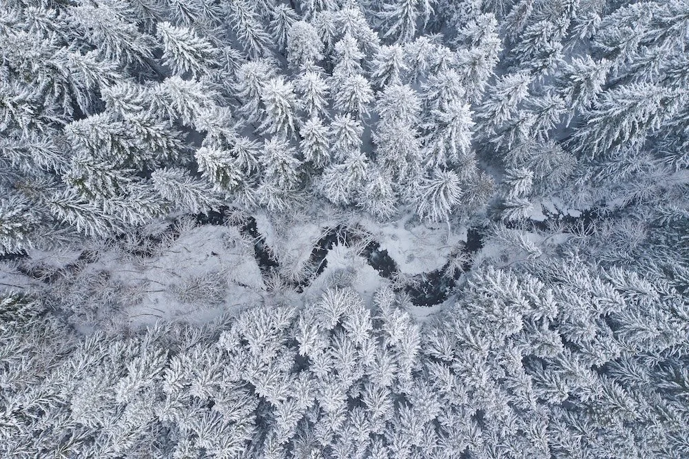 Down by the River.jpeg