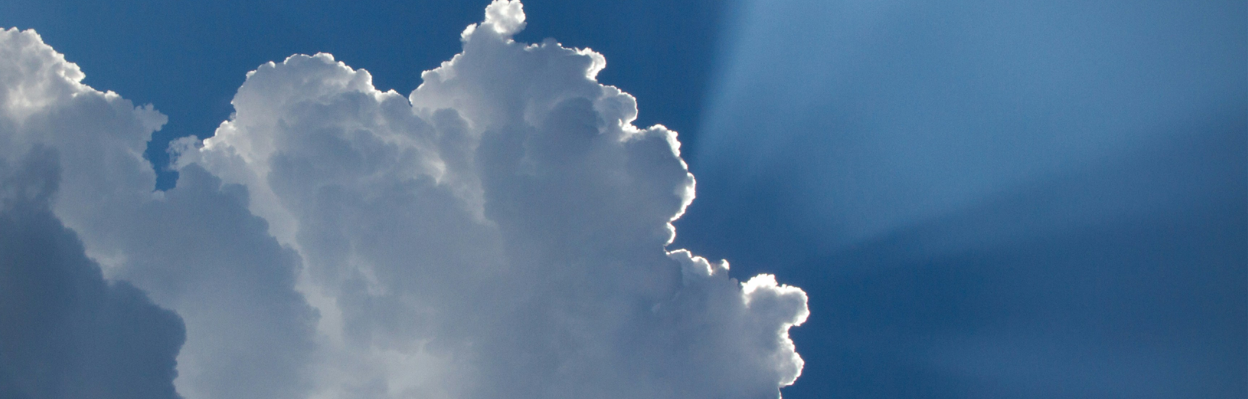 Radiance Webheader.png