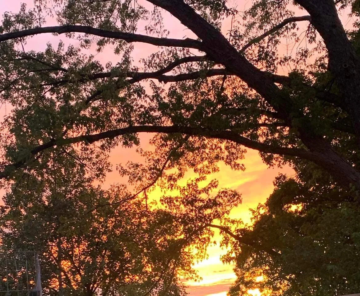 Evening Meditation at the Farm - Special event: Honoring the Loss of a Loved On