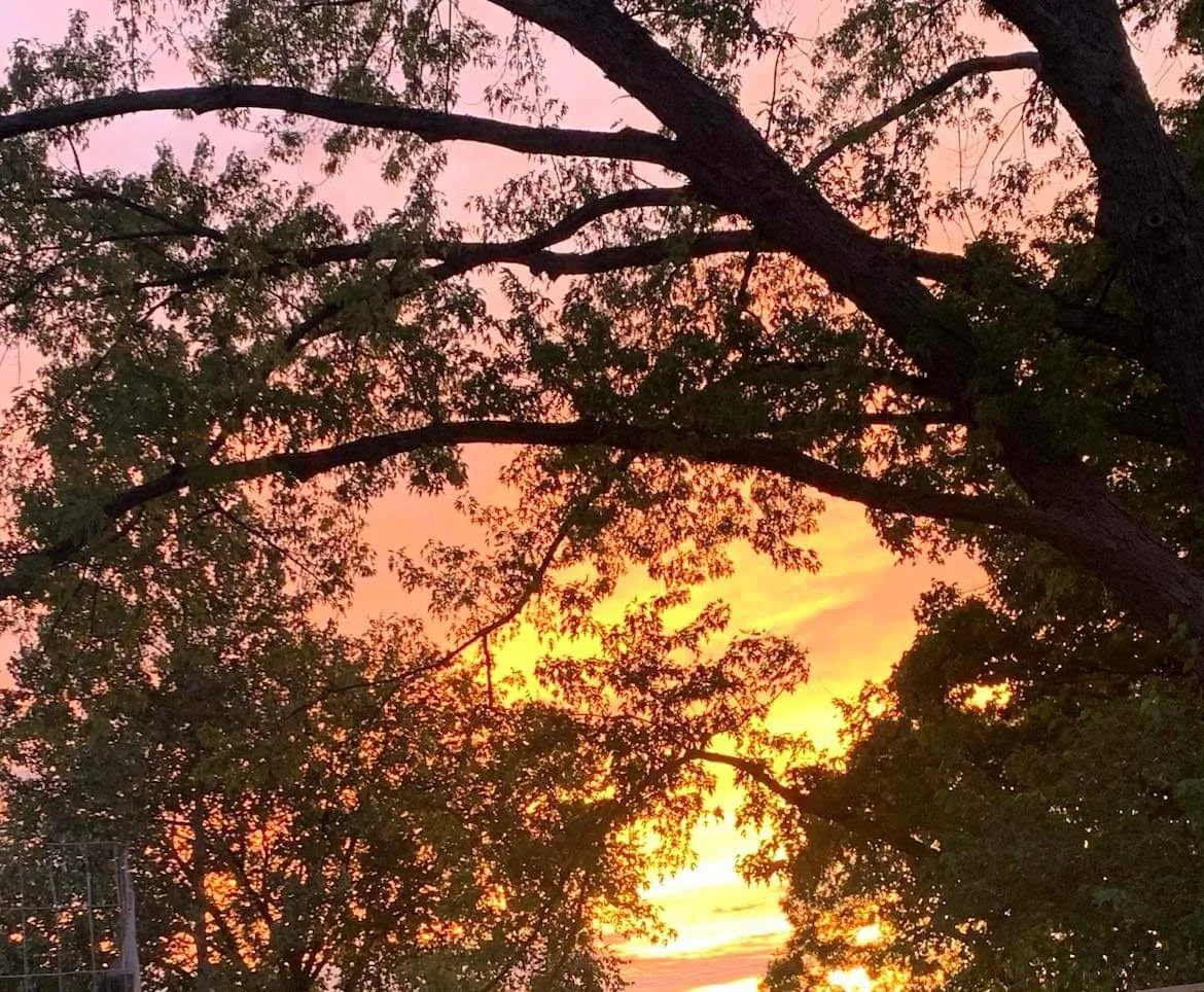 Evening Meditation at the Farm