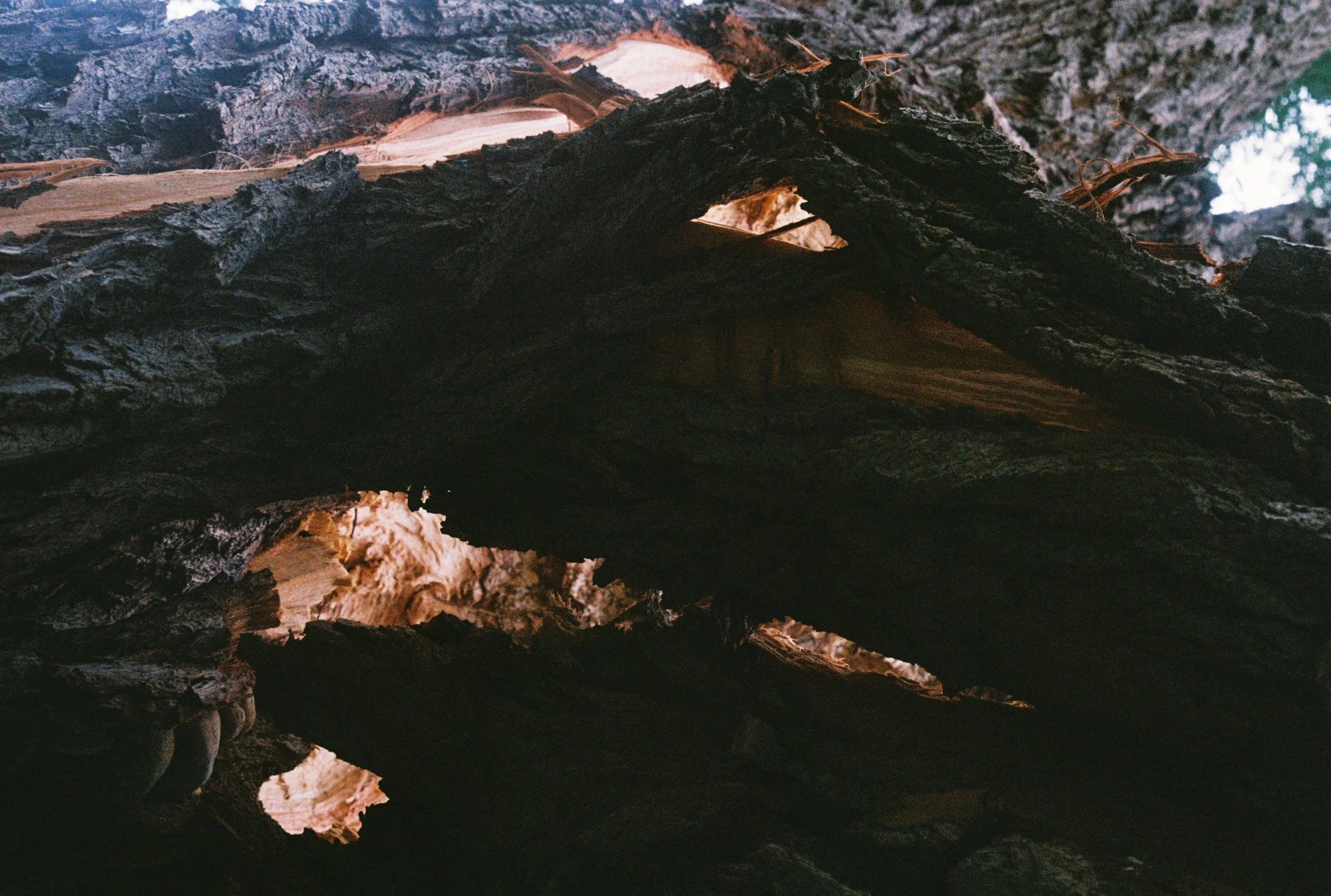 R1-08142-0028.JPG