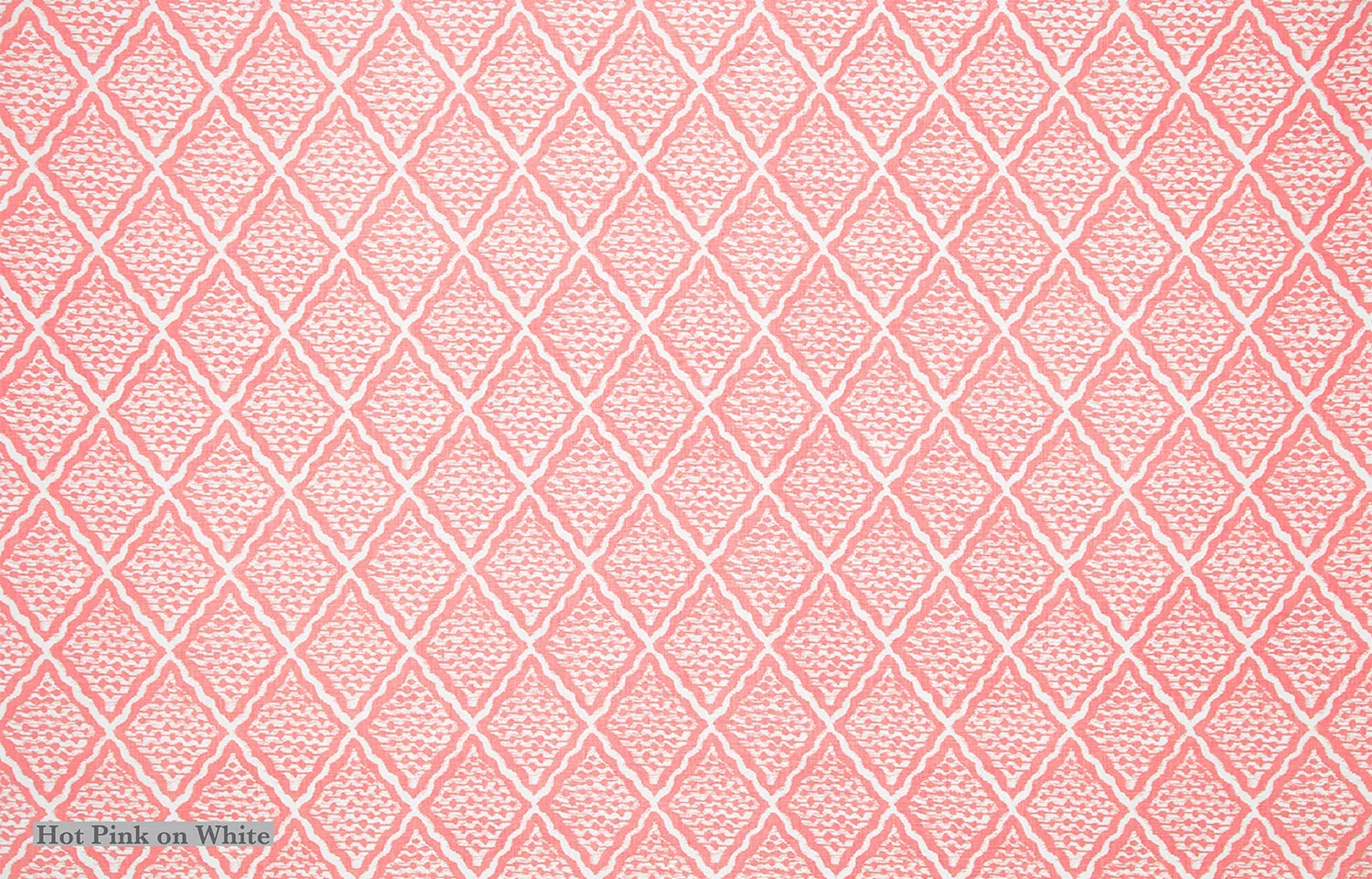 Honoria - Hot Pink on White.webp