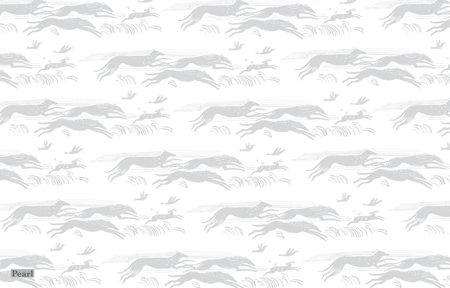 Whippets - Pearl.webp