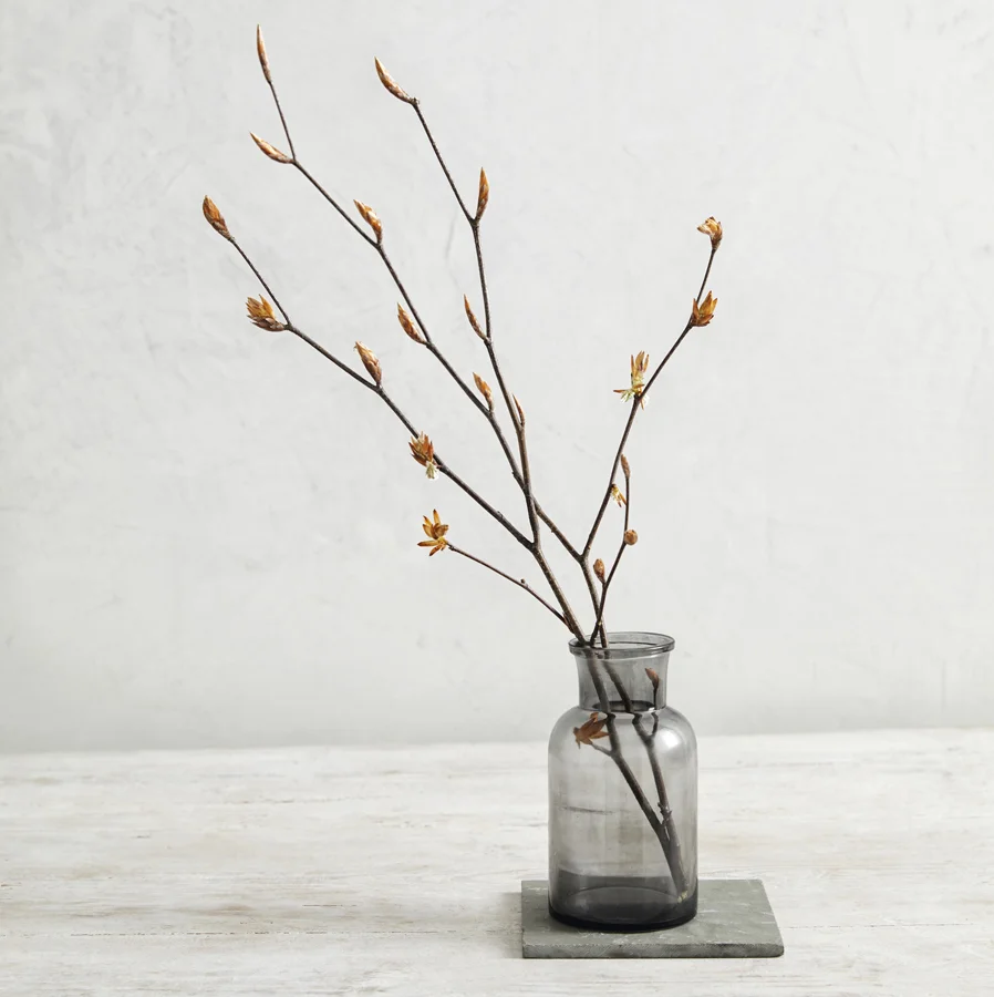 Holly-Bruce_Still-Life_18.jpg