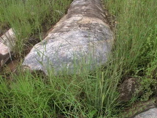 Before finding my piece of marble I searched the earth itself in my home country visiting the marble fields of Chiligoe in Queensland where the visible signs of the earth molten with sea creatures lie fossilised in pink.