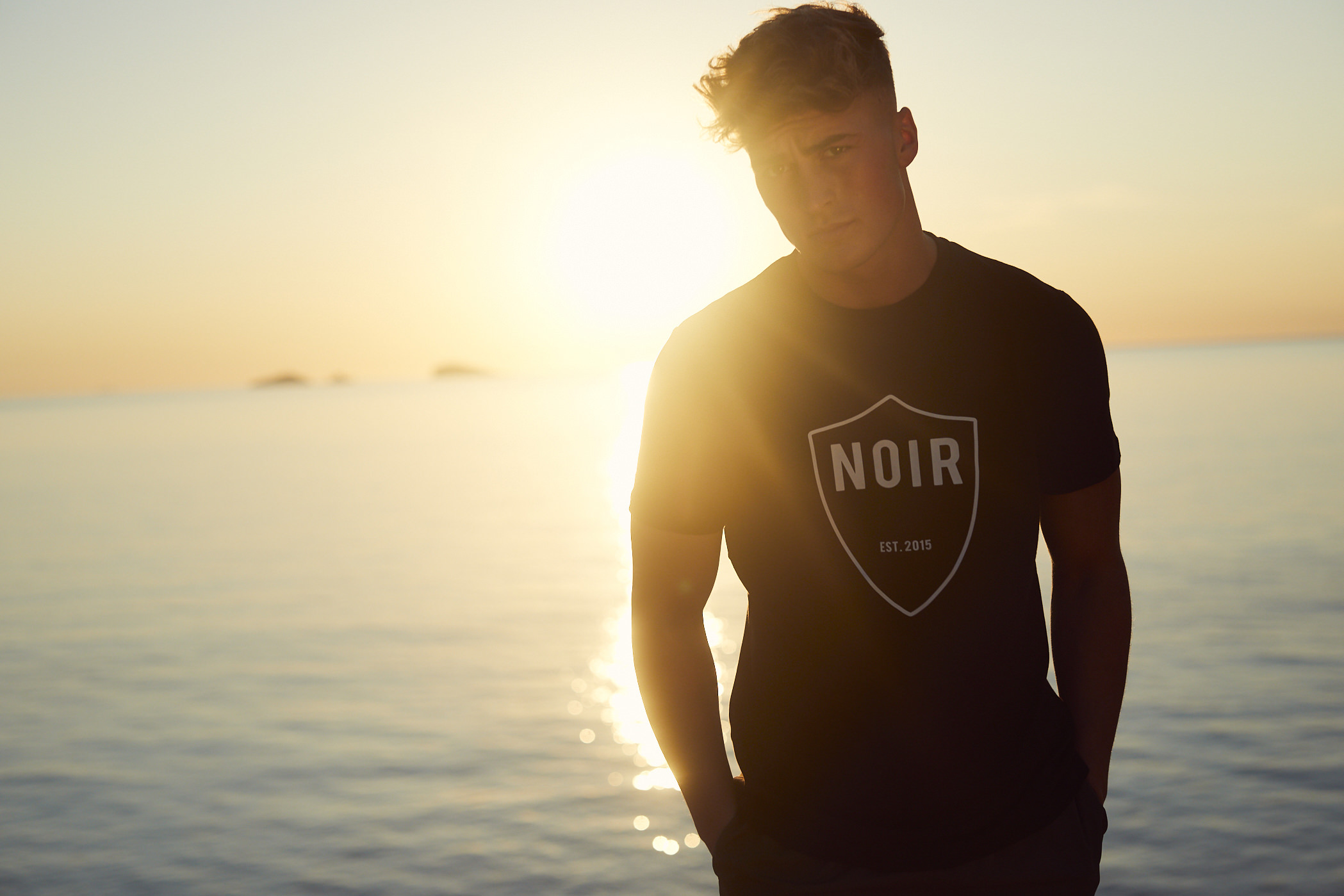 bee-influence-NOIR.jpg