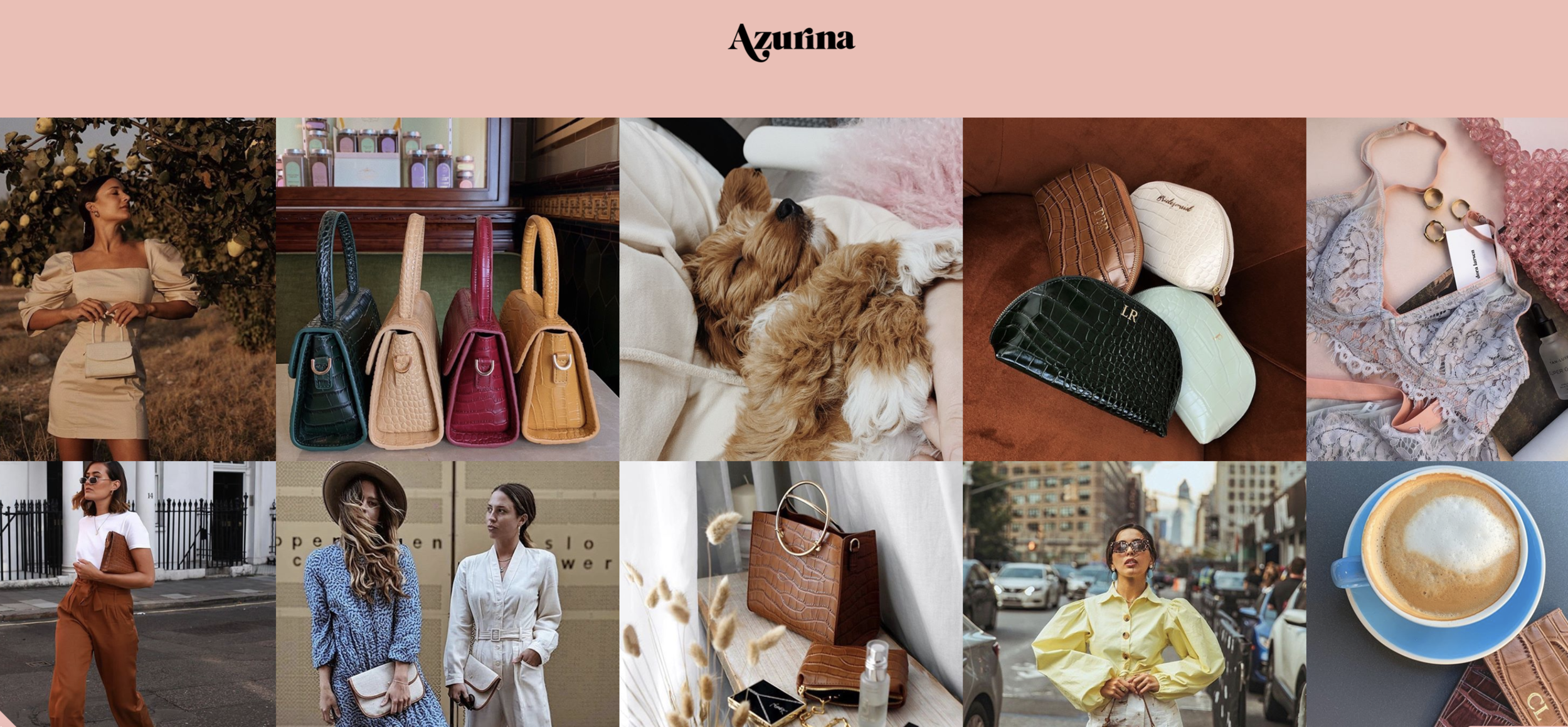 Bee Influence to deliver influencer campaign for leather accessories brand, Azurina