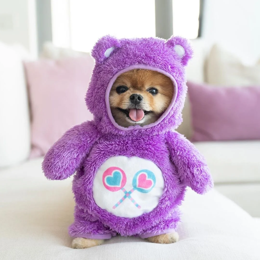 5 Pet Influencers You Need To Follow On Instagram Now