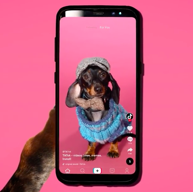 BTS: TikTok's Top Dog Challenge