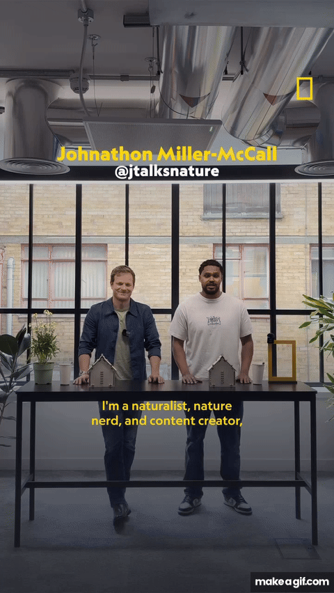 Johnathon Miller-McCall x Disney &amp; Nat Geo