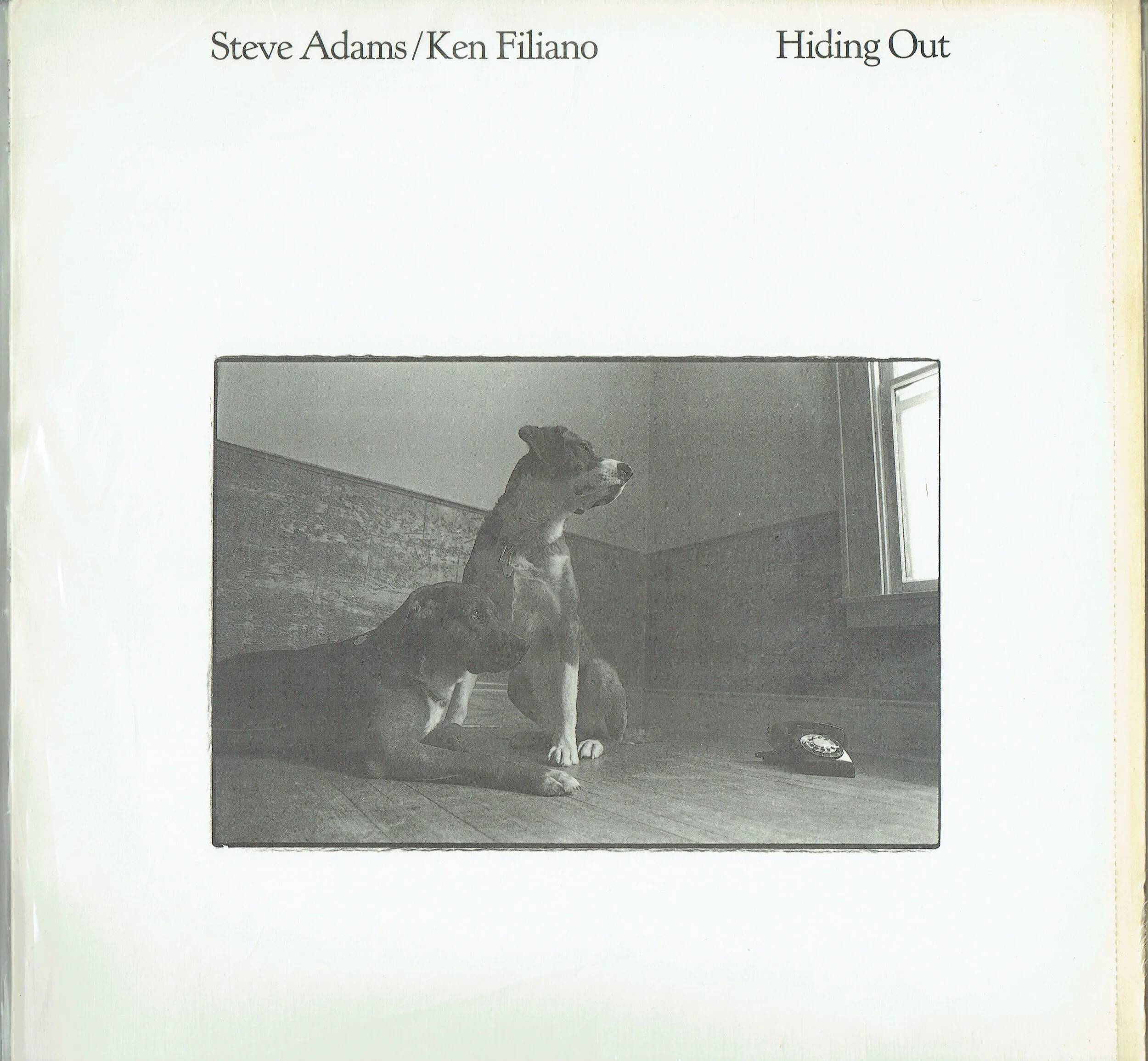 Steve Adams / Ken Filiano ‎– Hiding Out