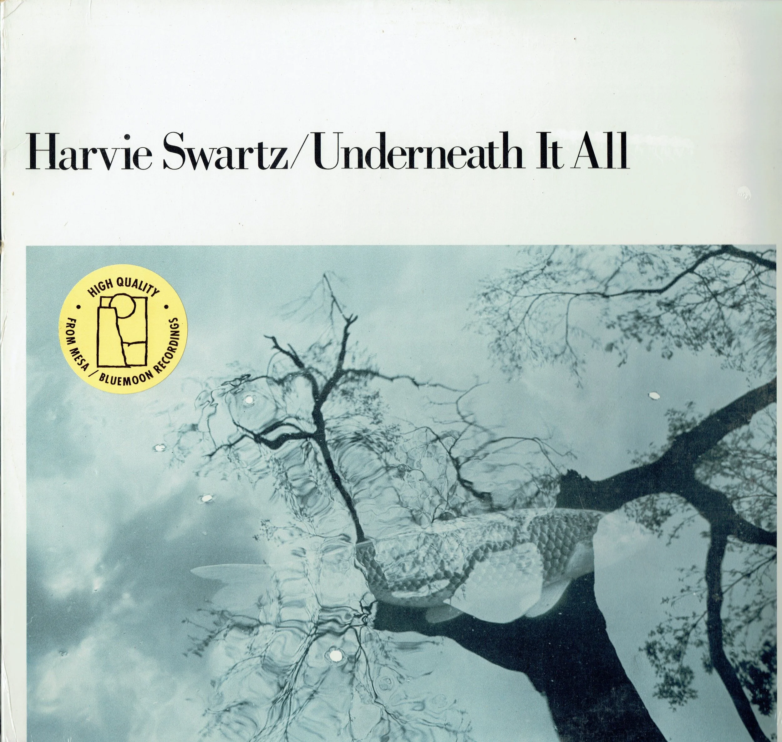 Harvie Swartz ‎– Underneath It All