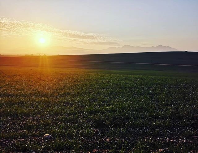 My morning just got better. Enjoy the beauty of the country and beautiful fields. #makethemostoflife #weekendaway #kidsarewelcome #trailrun #farmaccommodation #plaaslewe #plaasakkommodasie