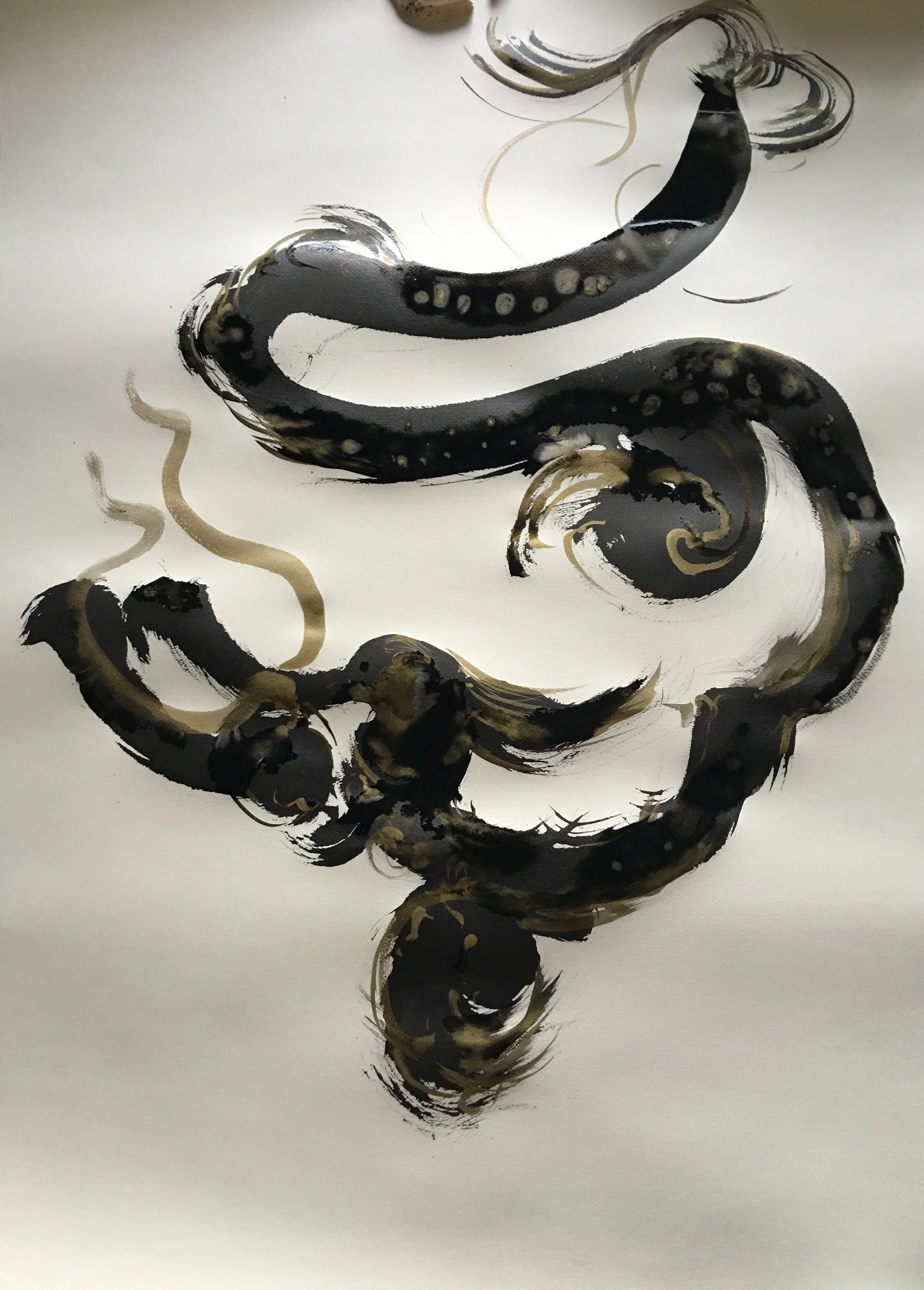 Dragon - 竜