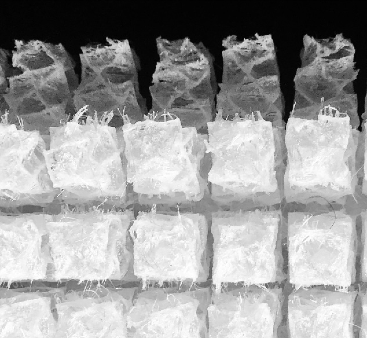 Lattice close up yash_.png