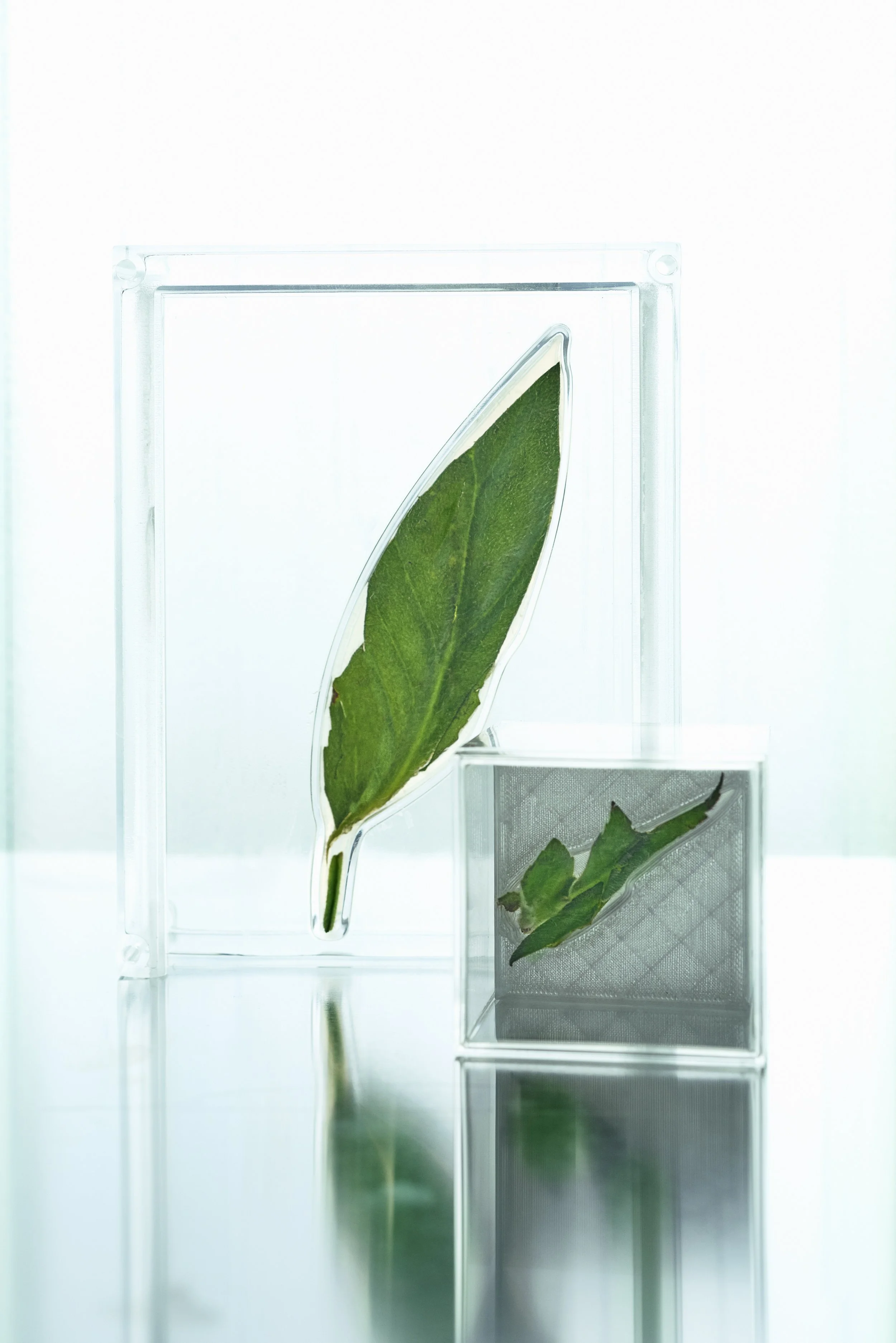 ZHONGNI (JENNY)_3.jpg