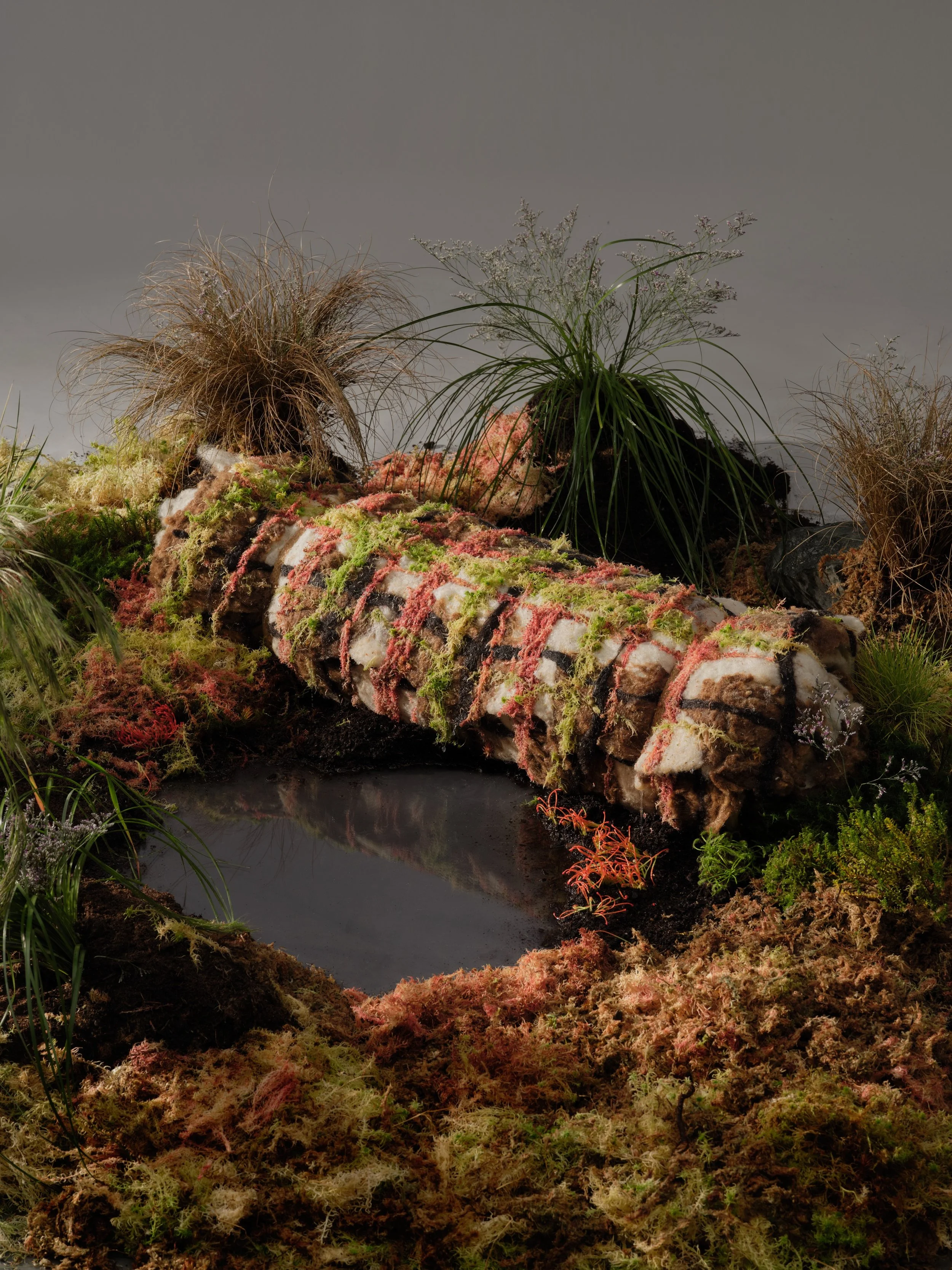 MAMF 2026 Graduates 2/6

Plaide Boglaich: Tartan for nature
@daly.shan

Domain: Car seat crafted from Chinese medicinal plants
@62ginaaaa.chen

Re-tual: Sustainable prayer objects
@ati.nimit 

Nafaskāri: Reviving craft through climate-resilient micro