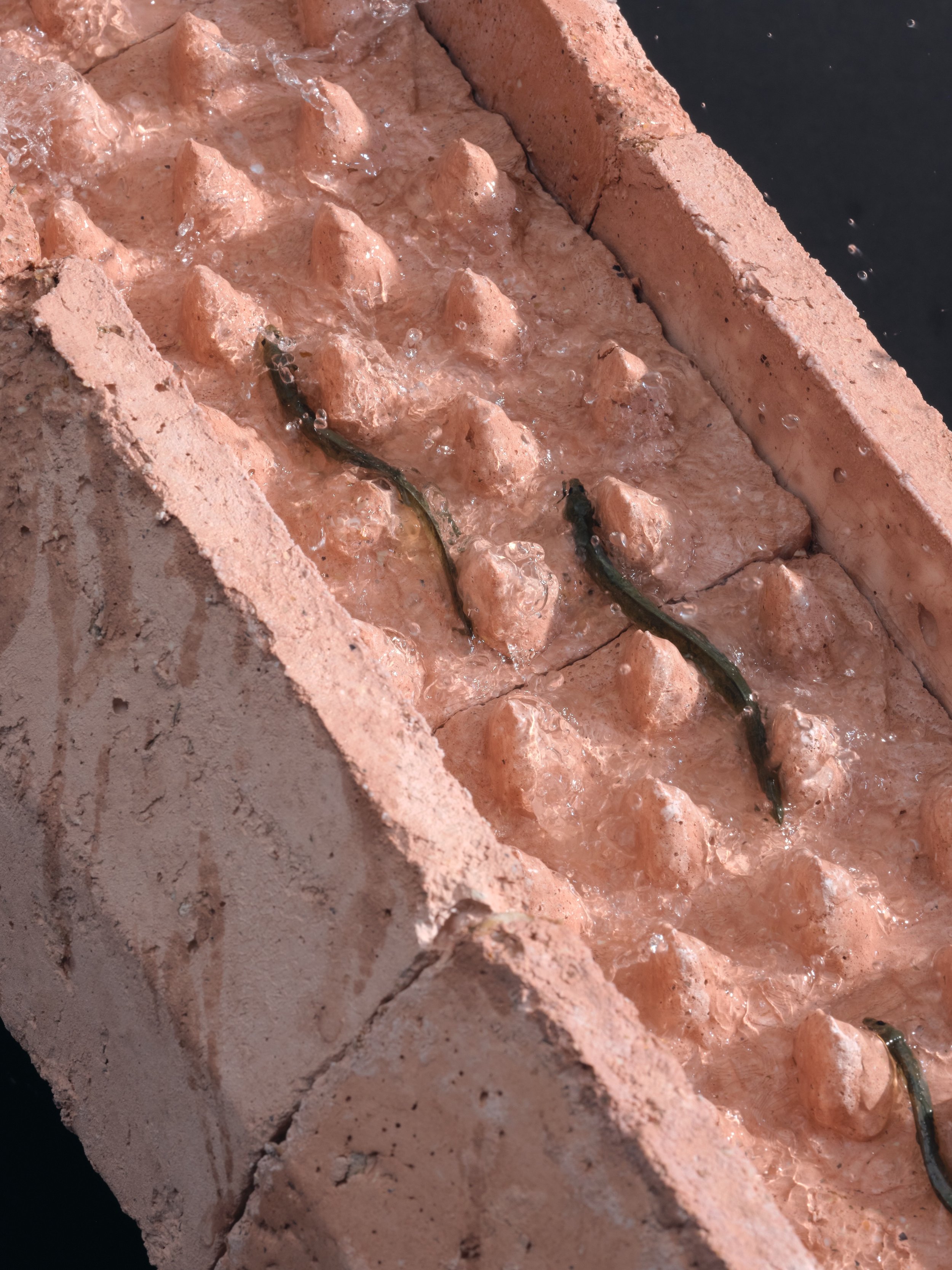 MAMF 2026 Graduates 4/6

A Bridge For Eels: Building bridges for critically endangered eels using reclaimed marine waste
@florollo___

What Grows Again: Locally grown coppiced wood to inform contemporary design and making
@leger_ant

Dream Point: Wea