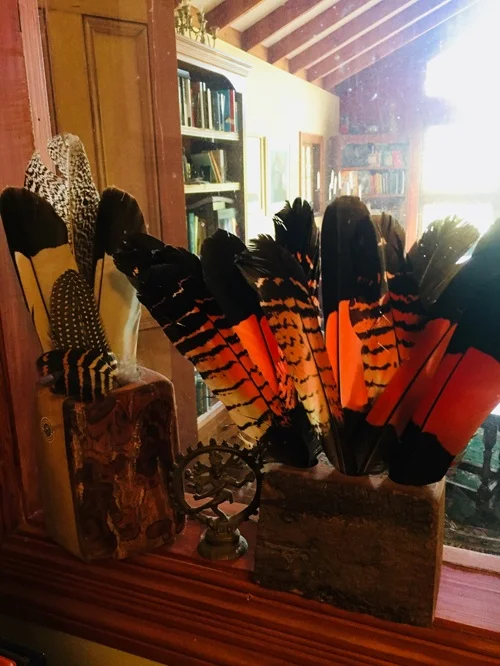 in my study-Feathers from my favourite visitors, the Red Tailed Black Cockatoos.
