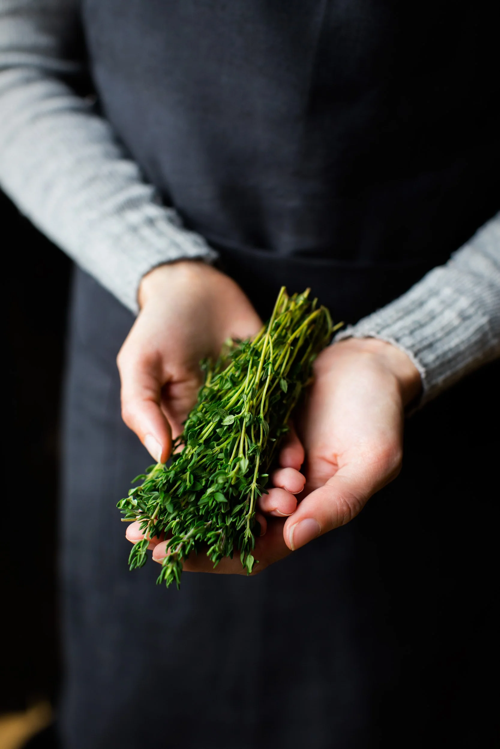 151016_KFC1_HERBS_F_RGB.jpg
