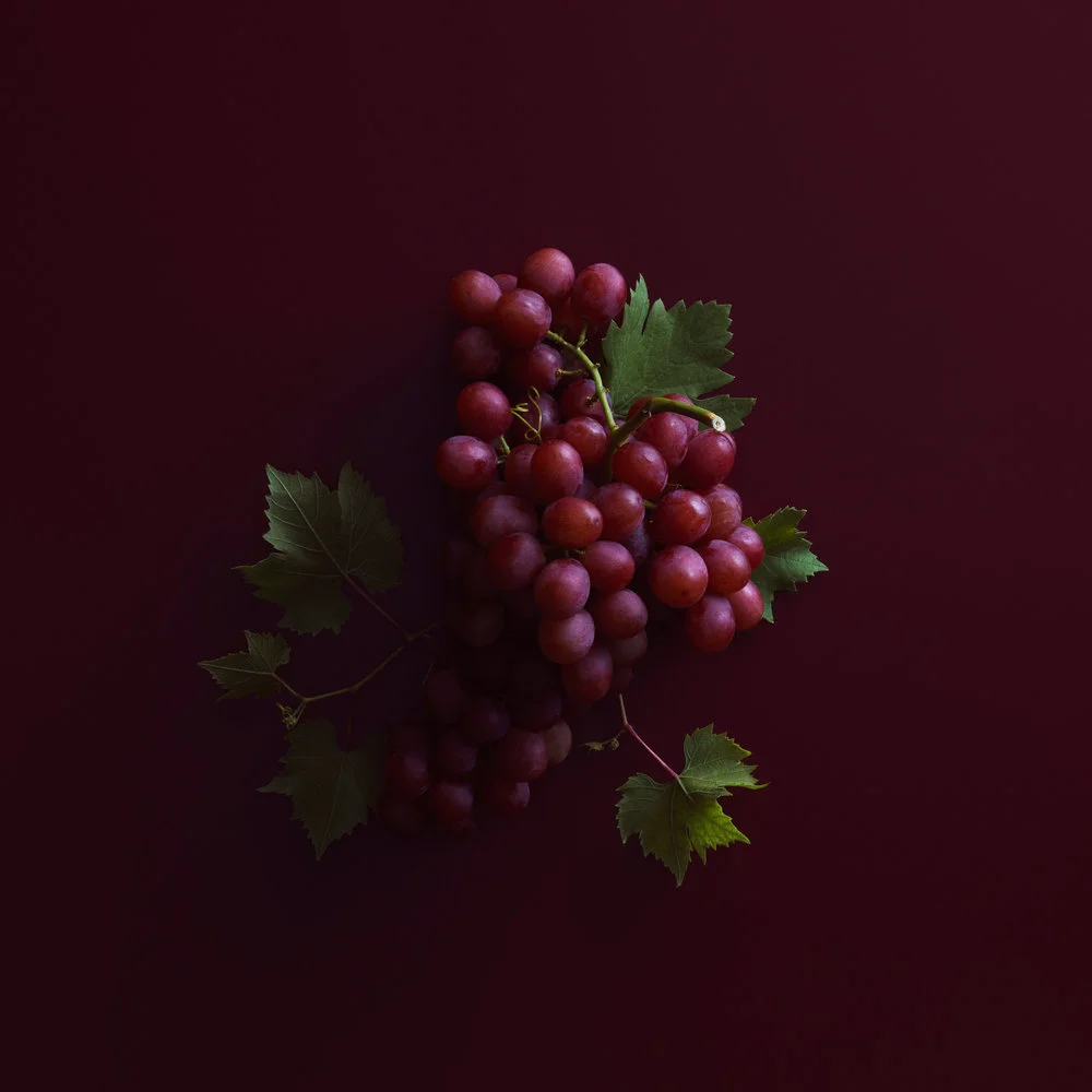 WaitroseAutumnWine_Malbec_30.7.18-F-PORTRAIT.jpg