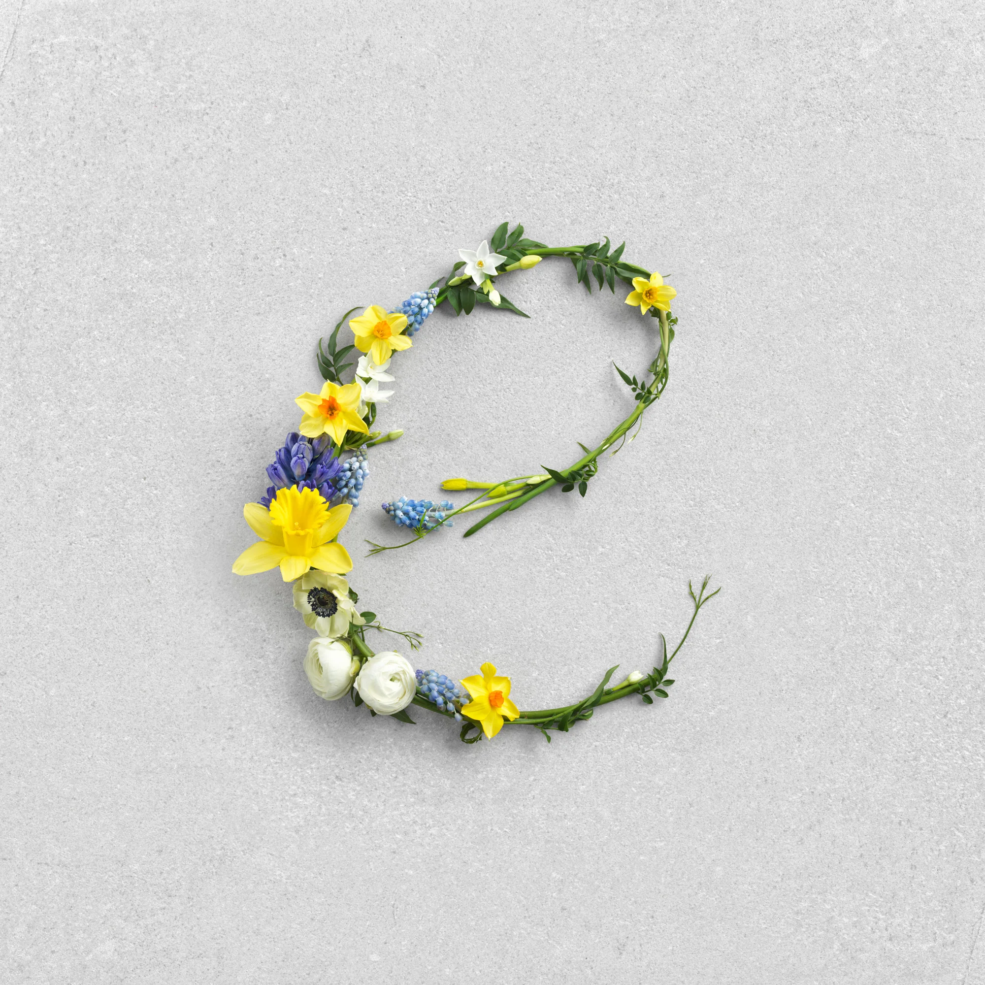 WAITROSE_SPRING_9.1.18_E_For_Easter_Flowers+-+389.jpg