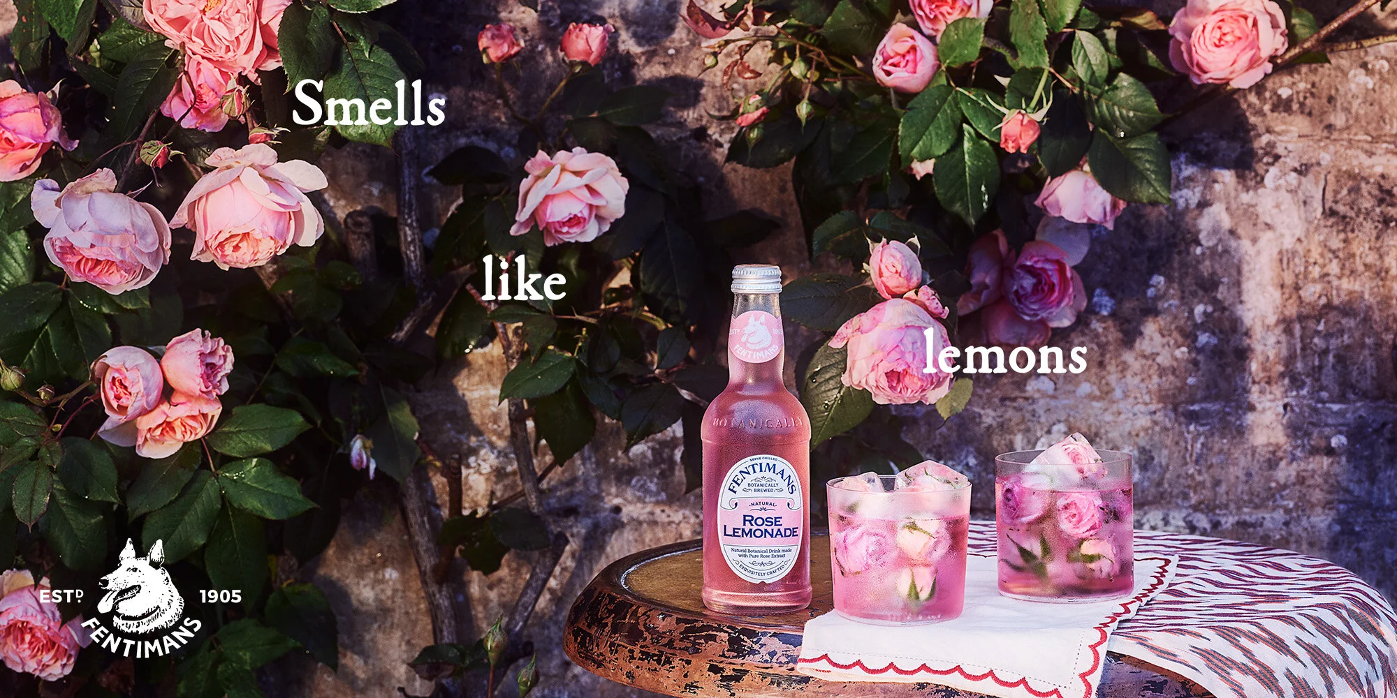 FEN1001784_SUMMER2019_LEMONS_48$_P1.jpg