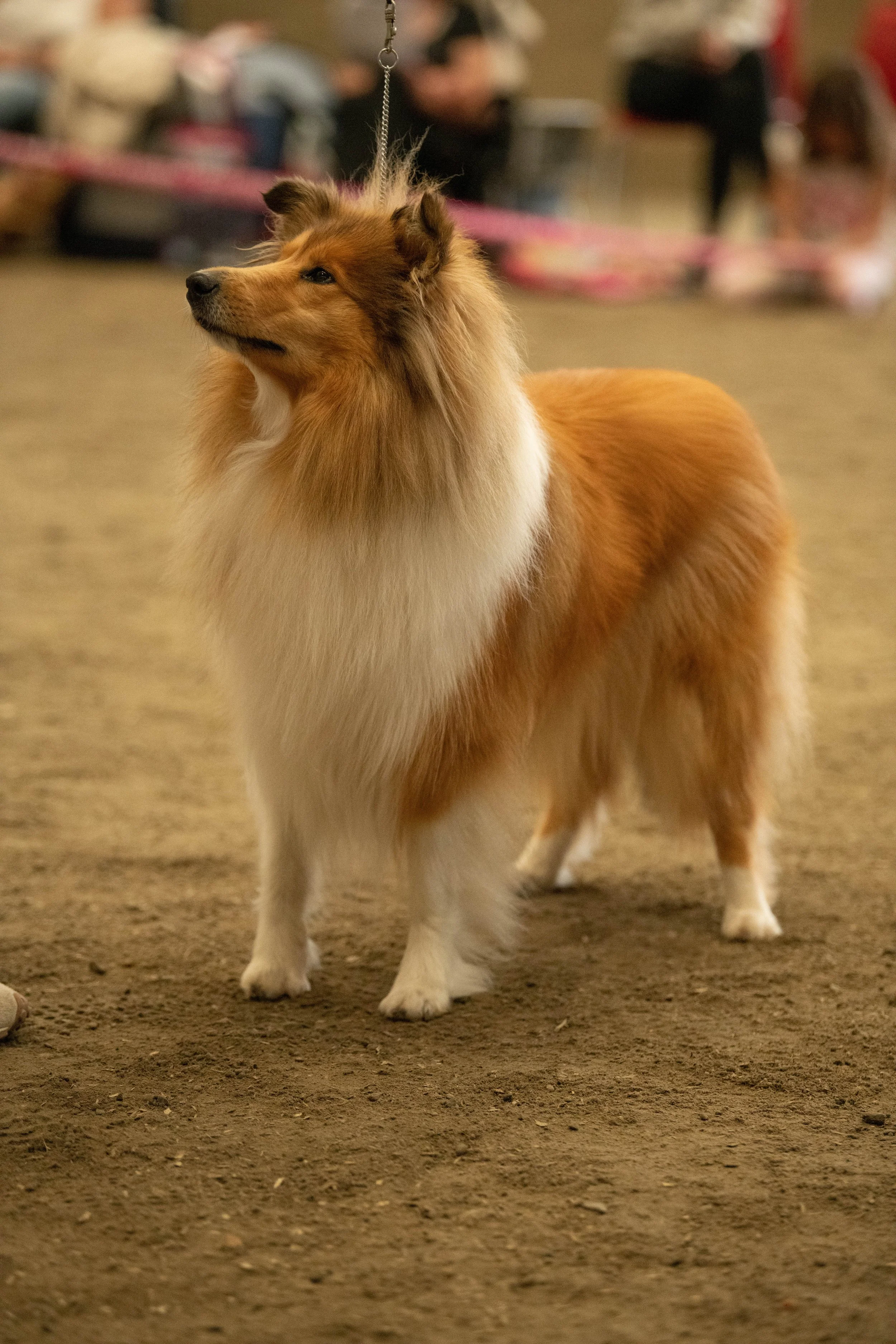 DSC_0514.jpg