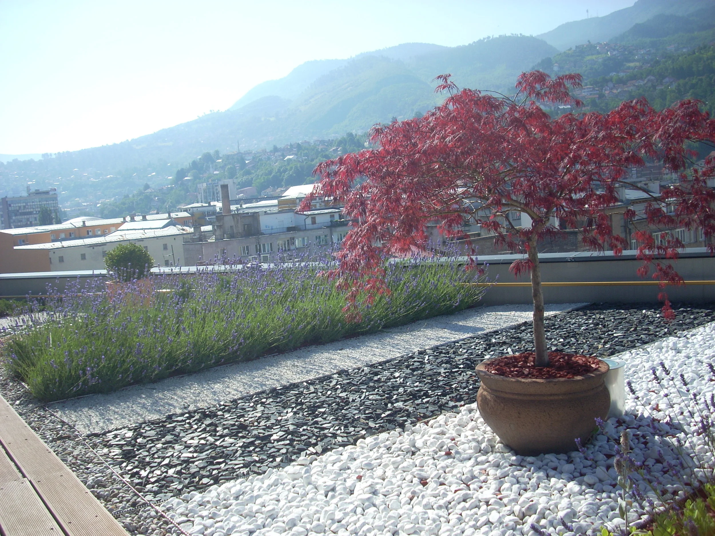 DSCN1793.JPG