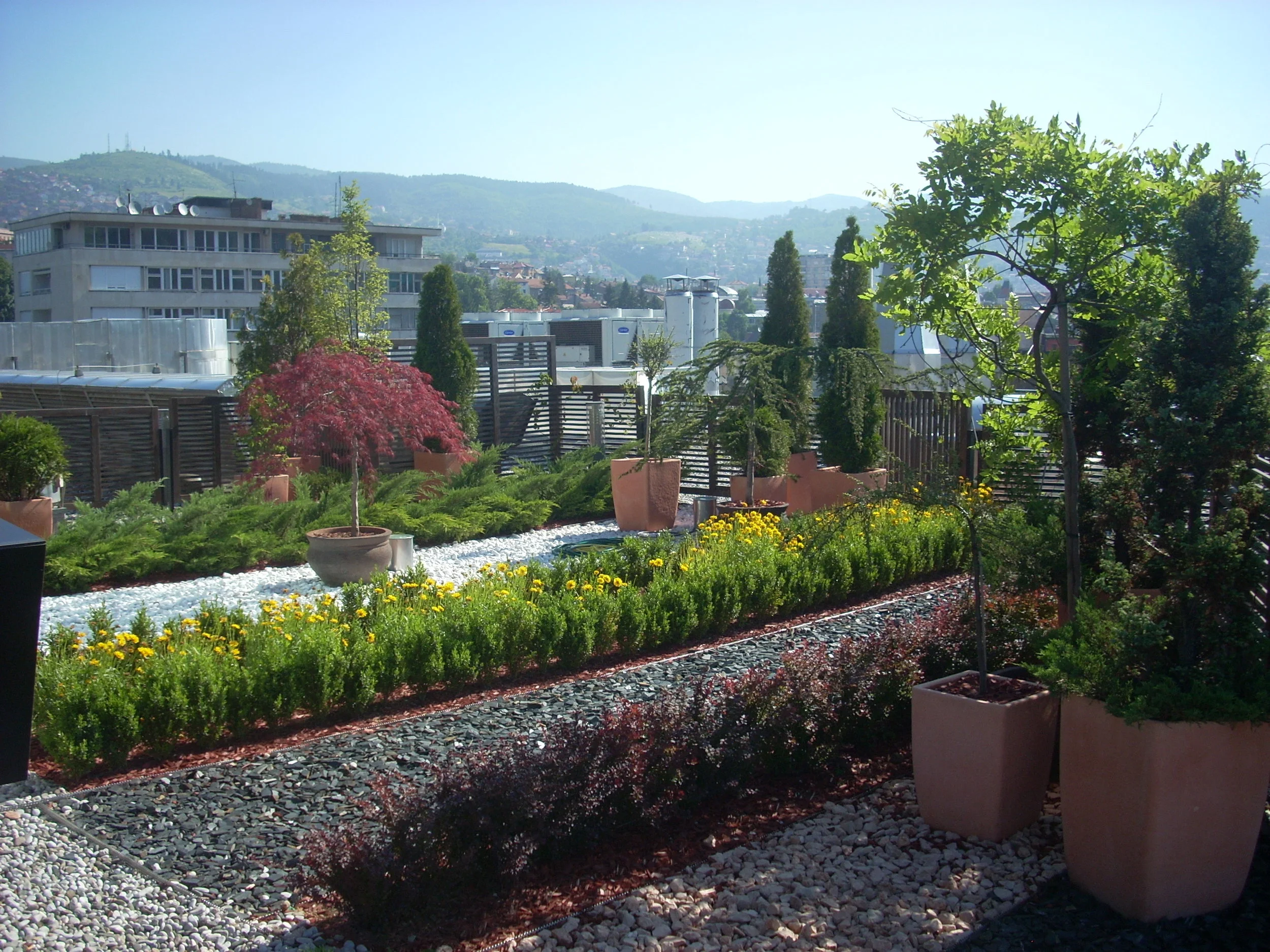 DSCN1797.JPG