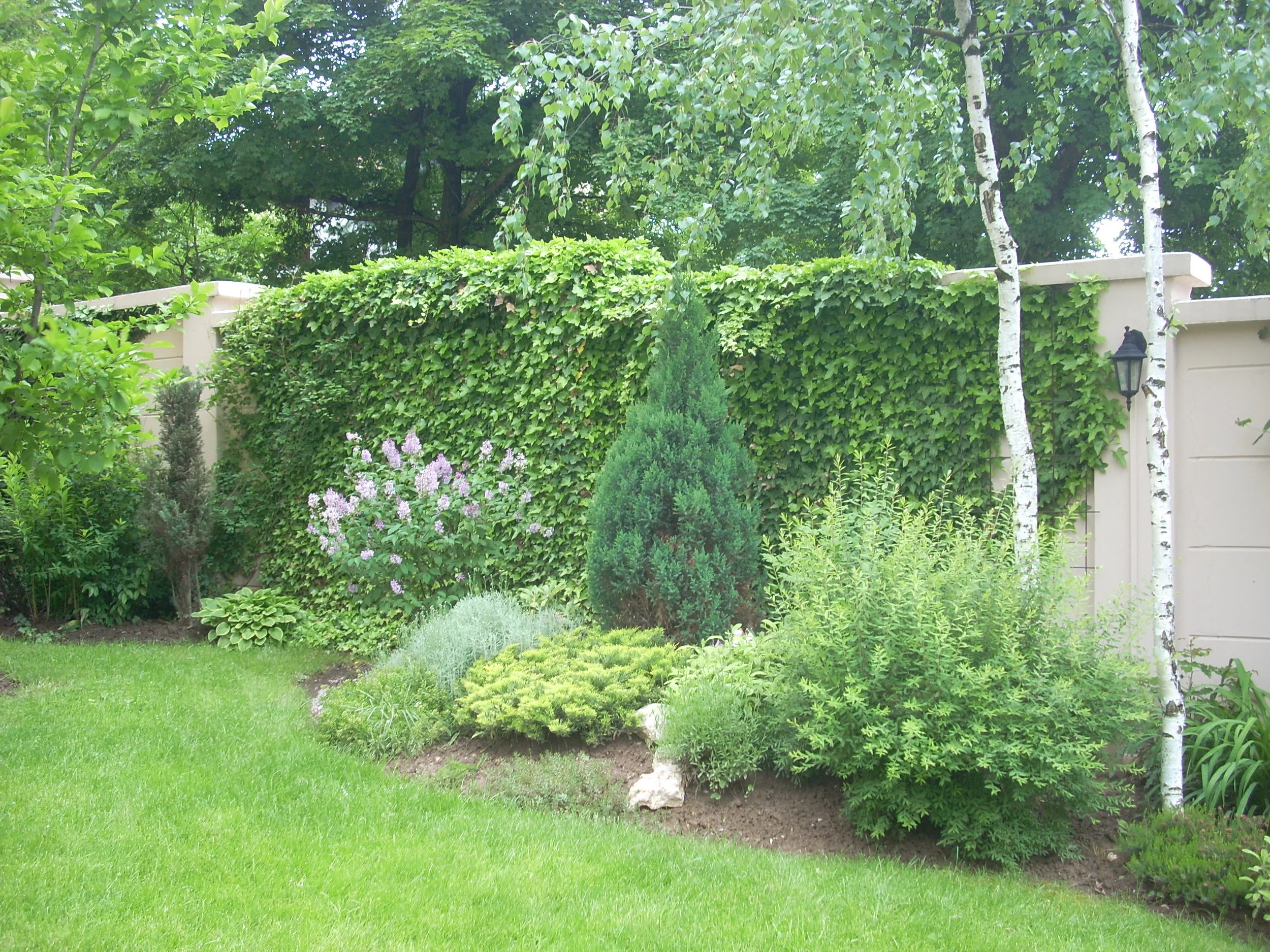 DSCN1582.JPG
