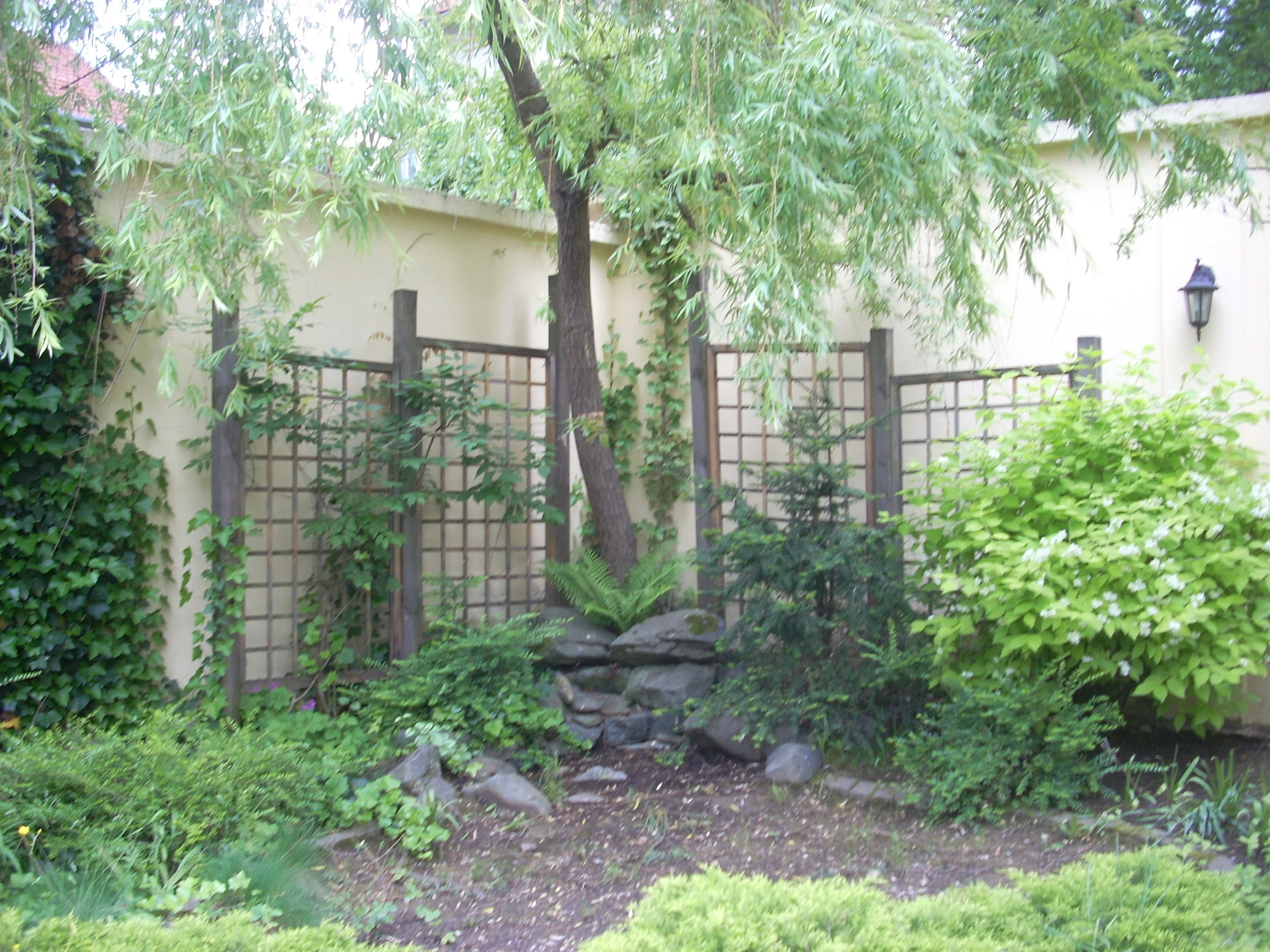 DSCN1606.JPG