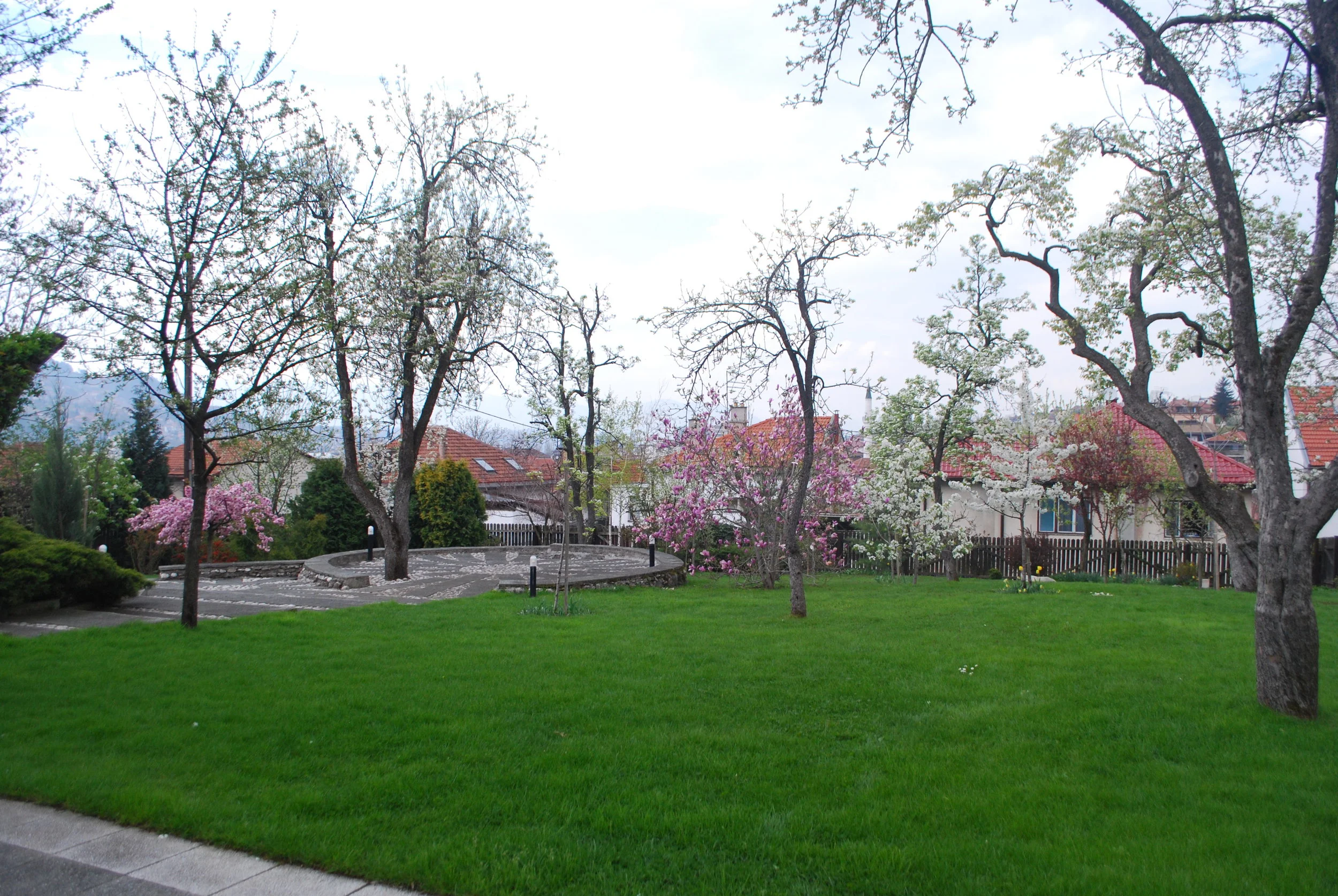 DSC_0072.JPG