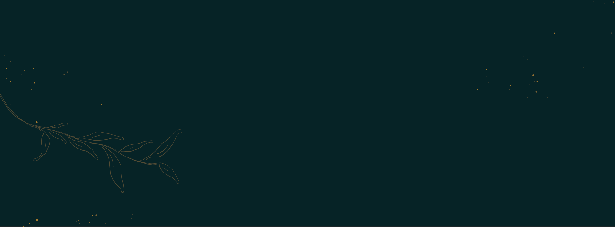 services_textureArtboard 2.png