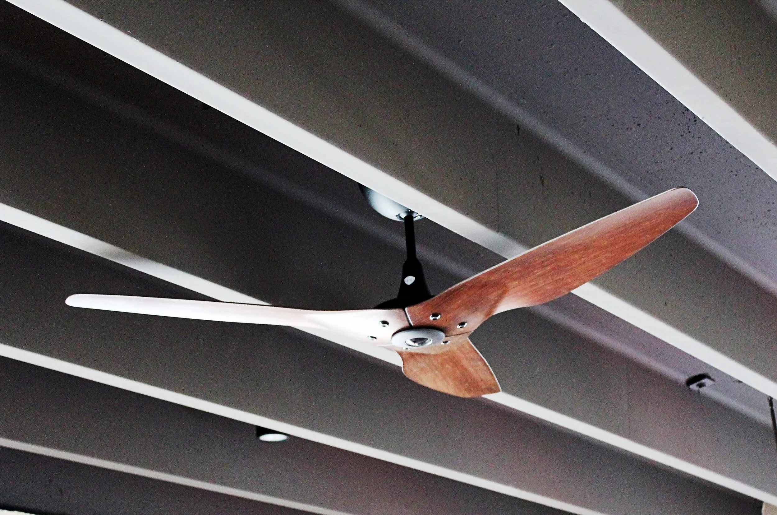 The current owners of The JDQ Building decided to remove the original 1960’s drop ceiling and leave the Double-T concrete beams exposed. The beams have been painted a dark chocolate brown to blend in with the dark brown energy-efficient replacement warehouse windows for a “warm industrial” look throughout the building. ‘Big Ass Fans’ have been added to keep the JDQ Conference Room comfortable!