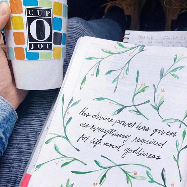 Daily inspo brought to you by @tayladavis_1 , the inspo’s inspo brought to you by Joe ☕️#teamwork