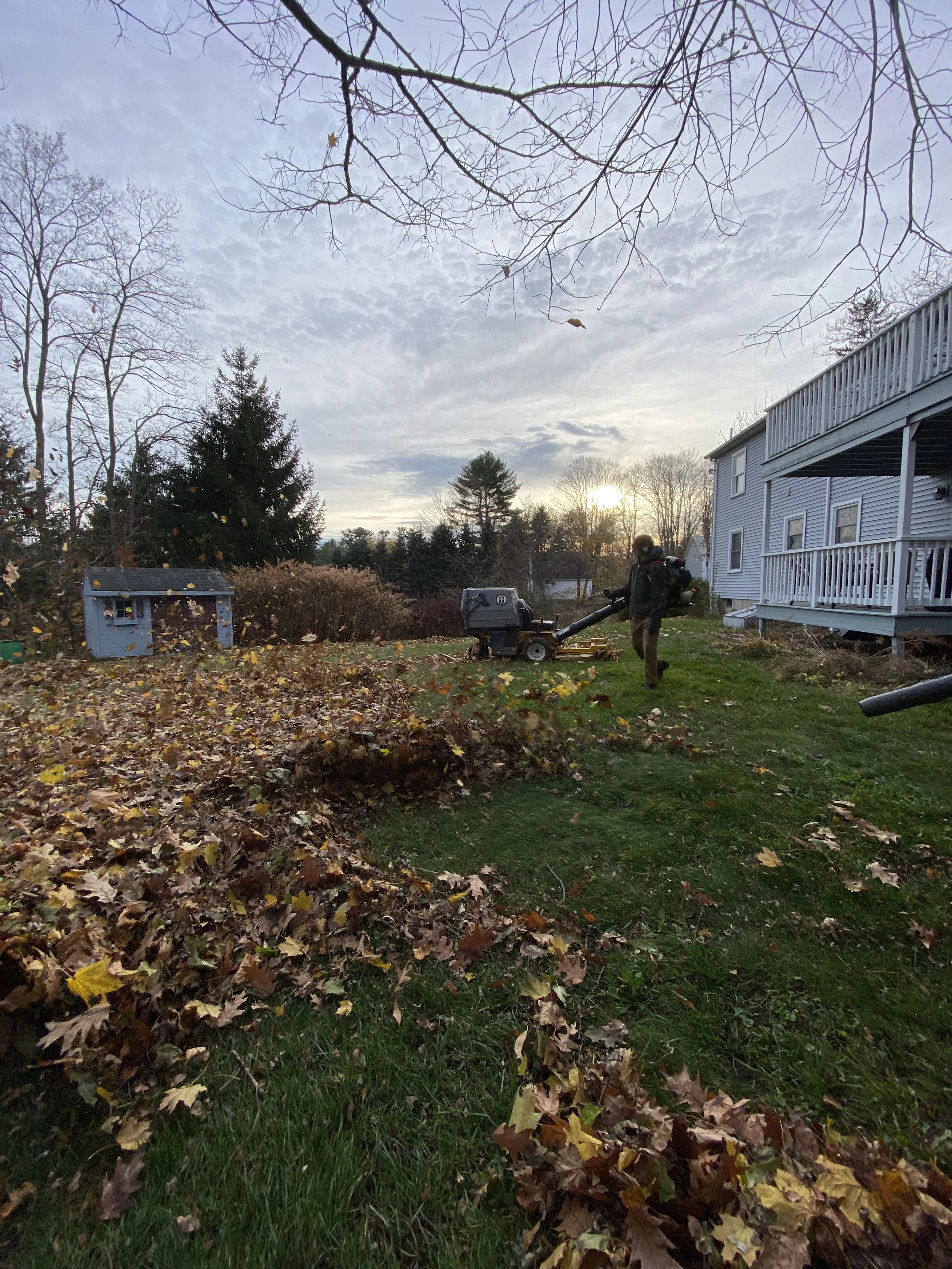 The Landscape Problems Fall Reveals
