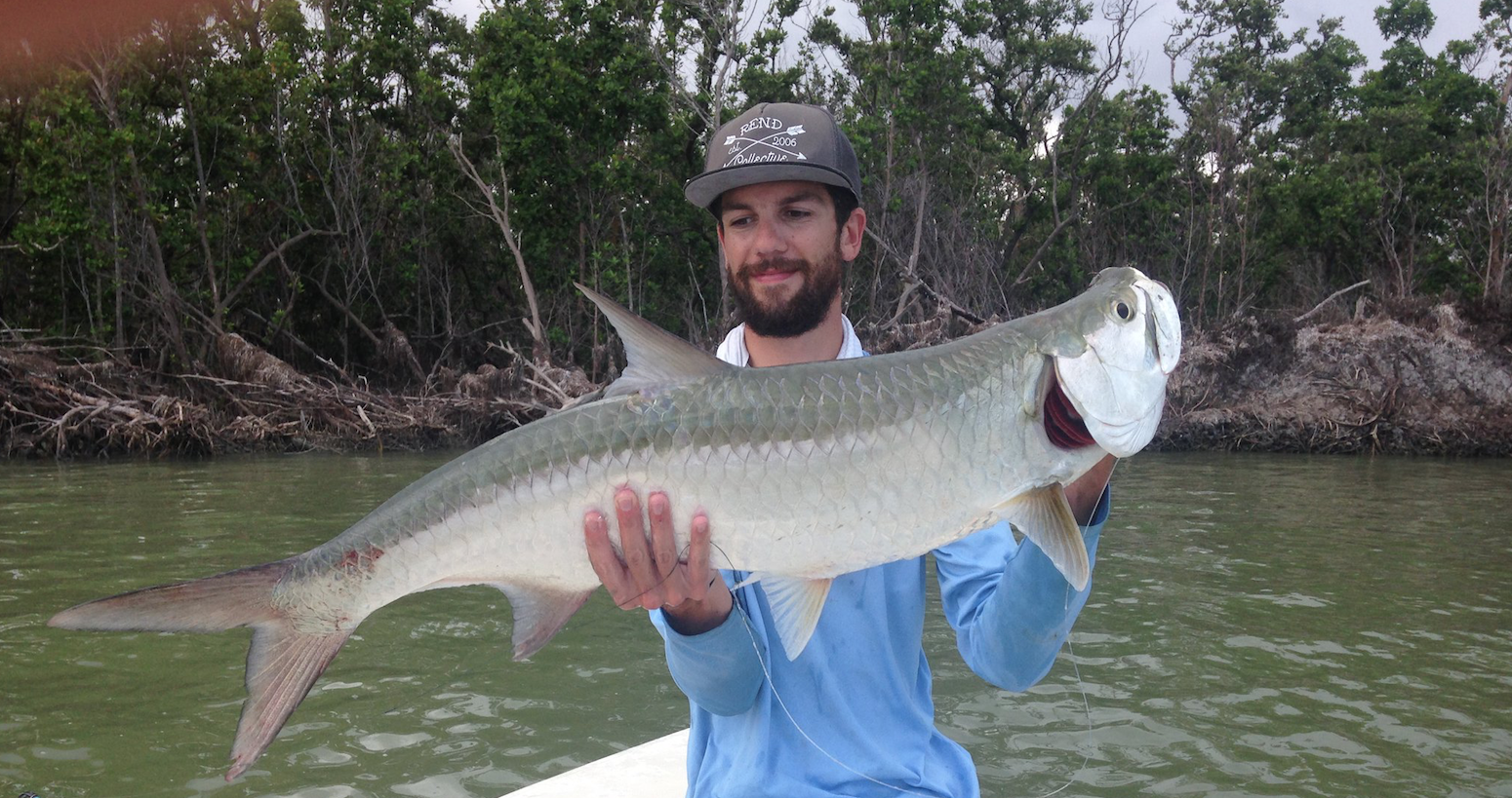 everglades-tarpon.png