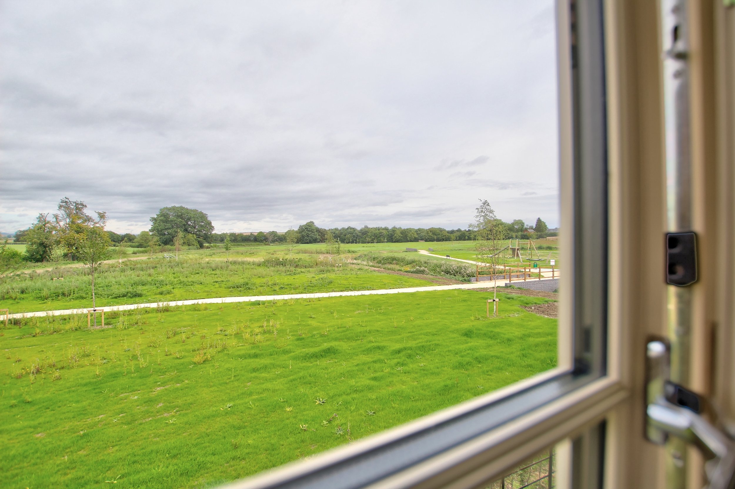 21 field views.jpg