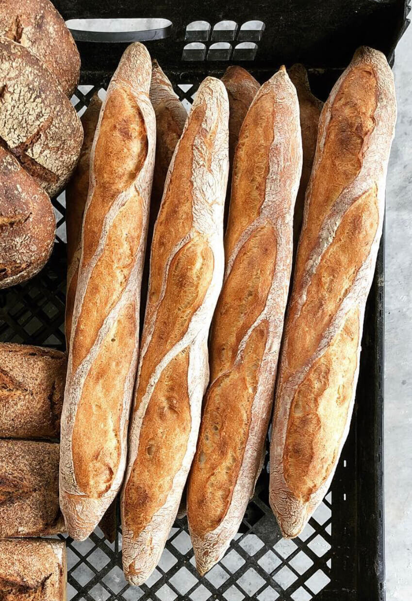 Tivoli General baguette