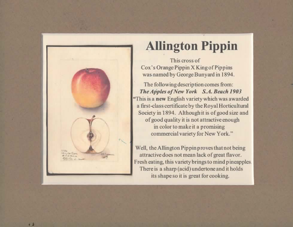 Antique Apples — Montgomery Place Orchards