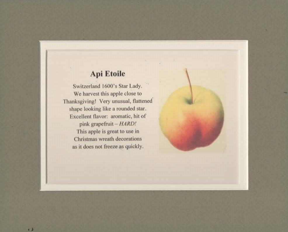Antique Apples — Montgomery Place Orchards