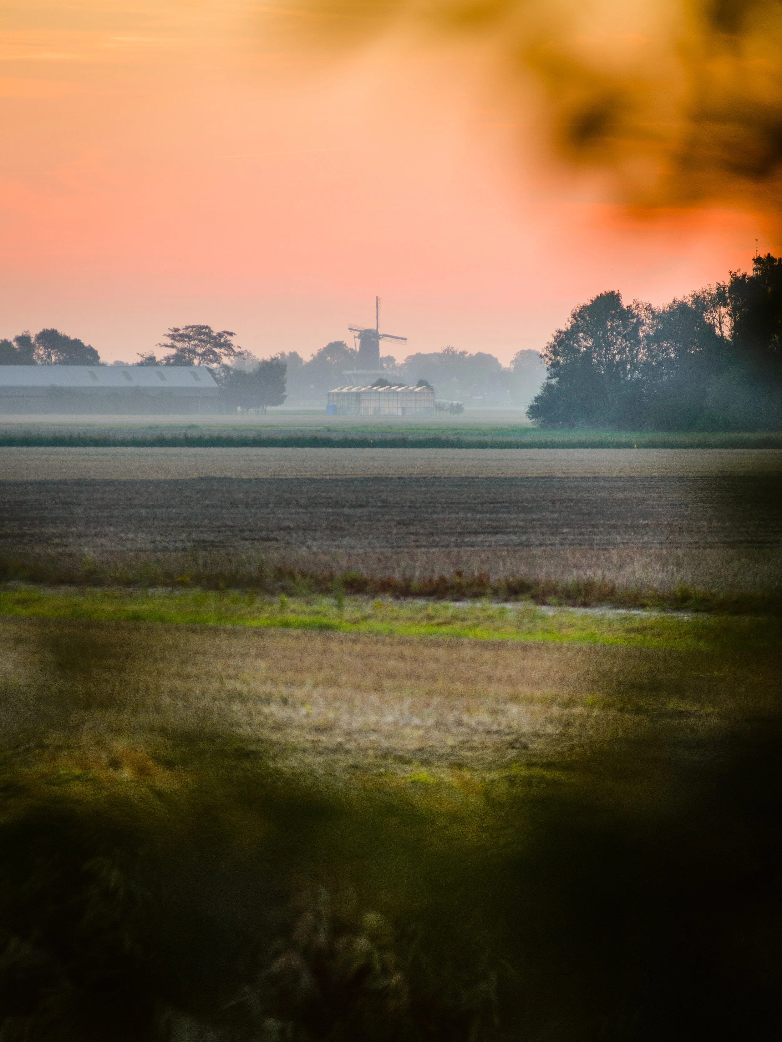 _KBF9115 20160925 Culinair Groningen.jpg