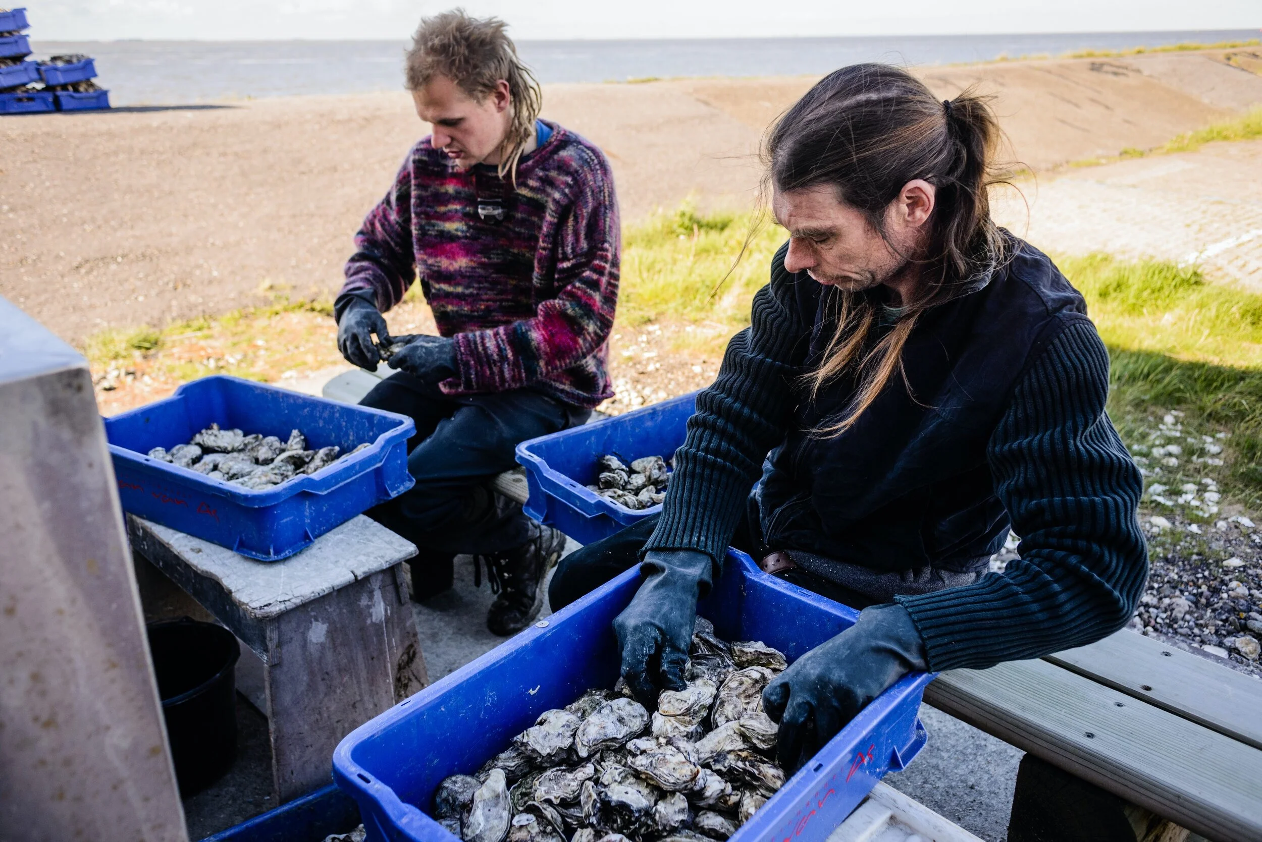 KB-20130523-Groningen-8033 20130523_.jpg