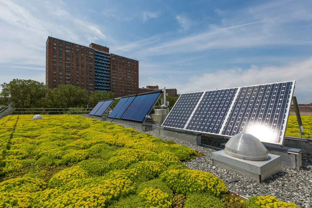 Green Roof.jpg